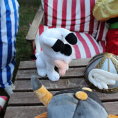  Sproing Pics (57/169)